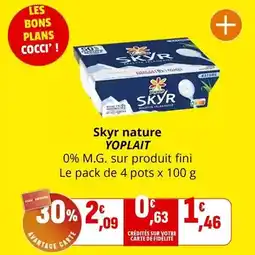 Coccinelle Express Yoplait - skyr nature offre
