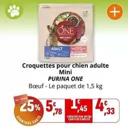 Coccinelle Express Purina - croquettes pour chien adulte mini offre