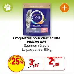 Coccinelle Supermarché Croquettes pour chat adulte purina one offre