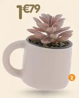 b&m Succulente dans pot mug offre