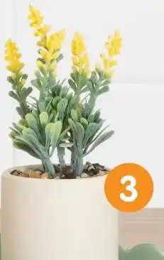 b&m Fleur dans pot coloré offre