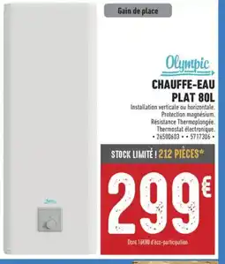 Brico Cash Chauffe-eau plat offre