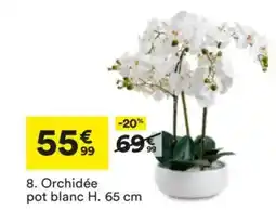BUT Orchidée pot blanc offre