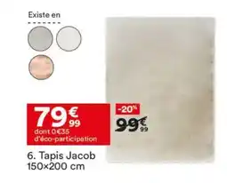 BUT Tapis Jacob offre