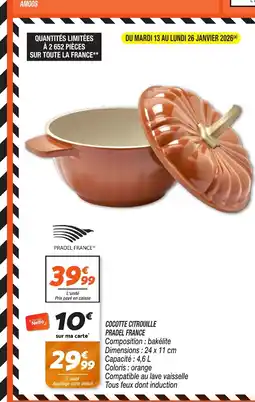 Netto Cocotte citrouille pradel france offre