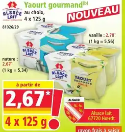 Norma ALSACE LAIT Yaourt gourmand offre