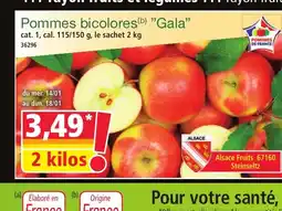Norma Pommes bicolores Gala offre