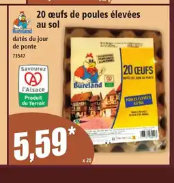 Norma 20 œufs de poules élevées au sol offre