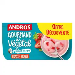 Carrefour Andros dessert végétal brassé offre
