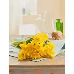 Carrefour Fleur bouquet de 10 jonquilles carlton offre