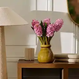 Carrefour Fleur bouquet de 5 jacinthes offre