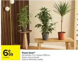 Carrefour Market Plante verte offre