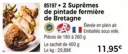 Thiriet 2 suprêmes de pintade fermière de bretagne offre