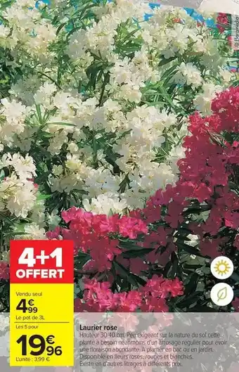 Thiriet 15 râpés de pommes de terre aux légumes offre