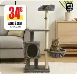 L'incroyable Arbre à chat offre