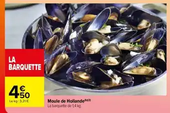 MOULE DE HOLLANDE
