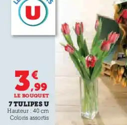 U Express 7 tulipes u offre