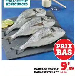 Hyper U Daurade royale d'aquaculture offre