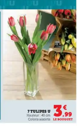 Hyper U 7 tulipes u offre