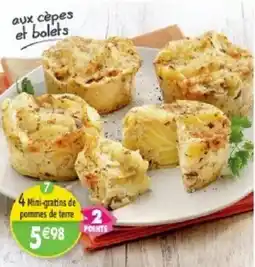 Maximo 4 Mini-gratins de pommes de terre aux cèpes et bolets offre