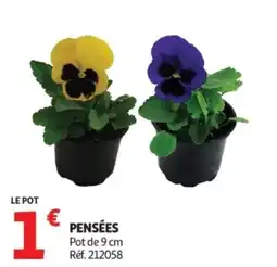 Auchan Pensées offre