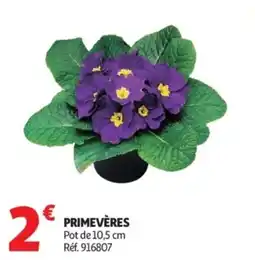 Auchan Primevères offre