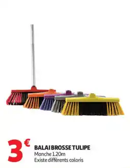 Auchan Balai brosse tulipe offre