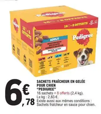 SACHETS FRAÎCHEUR EN GELÉE POUR CHIEN “PEDIGREE”