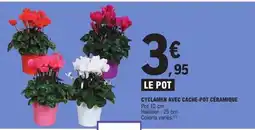 E.Leclerc Cyclamen avec cache-pot céramique offre