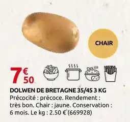 Rural Master Dolwen de bretagne 35/45 offre