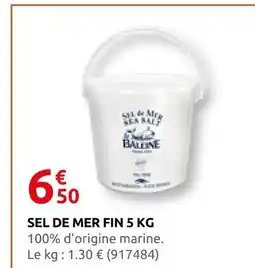 Rural Master La baleine sel de mer fin 5 kg offre