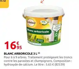 Rural Master Solabiol blanc arboricole 3 l offre