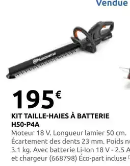 Rural Master Kit taille-haies à batterie h50-p4a offre