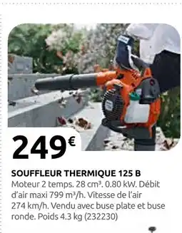 Rural Master Souffleur thermique 125 b offre