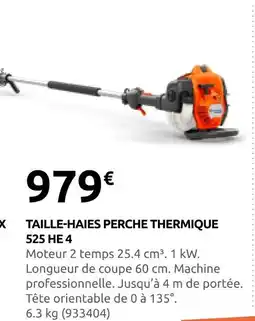 Rural Master Taille-haies perche thermique 525 he 4 offre