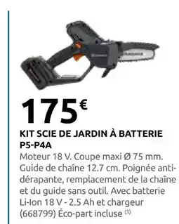 Rural Master Kit scie de jardin à batterie p5-p4a offre
