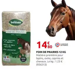 Rural Master Belavie foin de prairies offre