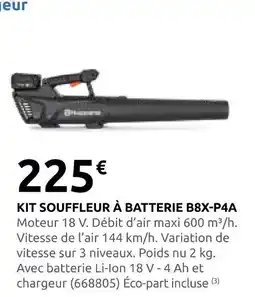 Rural Master Kit souffleur à batterie b8x-p4a offre
