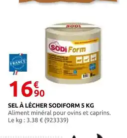 Rural Master Sodiform sel à lécher 5 kg offre