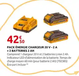 Rural Master Pack énergie chargeur 20 v - 2 a + 2 batteries 2 ah offre