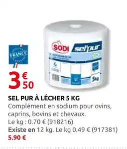 Rural Master Sodi sel pur à lécher offre