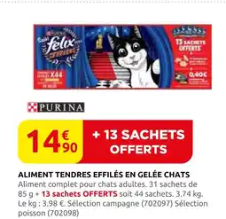 Rural Master Purina aliment tendres effilés en gelée chats offre