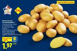 Lidl Pomme de terre de consommation offre