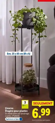 Lidl Livarno - étagère pour plantes offre