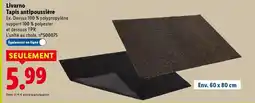 Lidl Livarno - tapis antipoussière offre