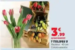 U Express U - tulipes offre