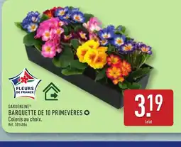 ALDI GARDENLINE Barquette de 10 primevères offre