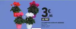 E.Leclerc Cyclamen avee cache pot céramique offre