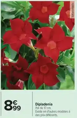 Intermarché Express Lesieur - huile isio 4 offre