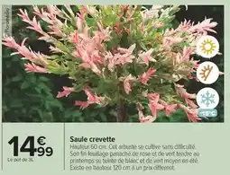 Intermarché Express Lactel - brique demi-écrémé format familial offre